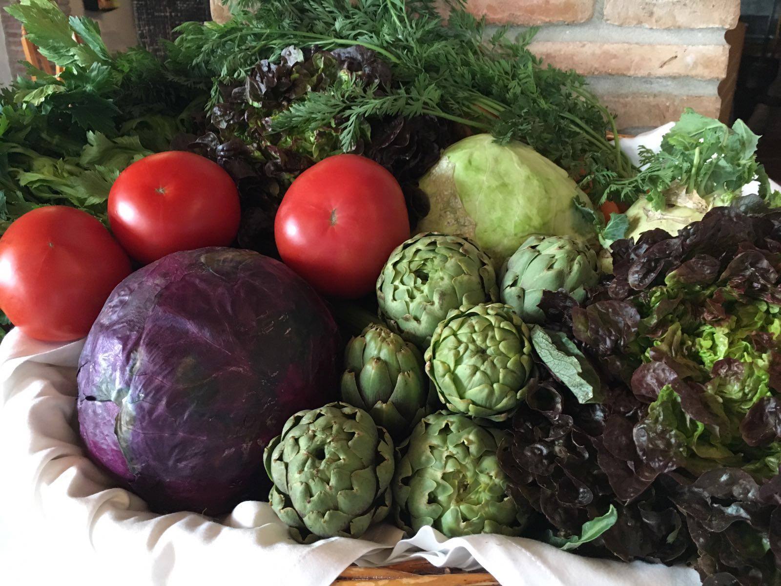 verduras de nuestra huerta